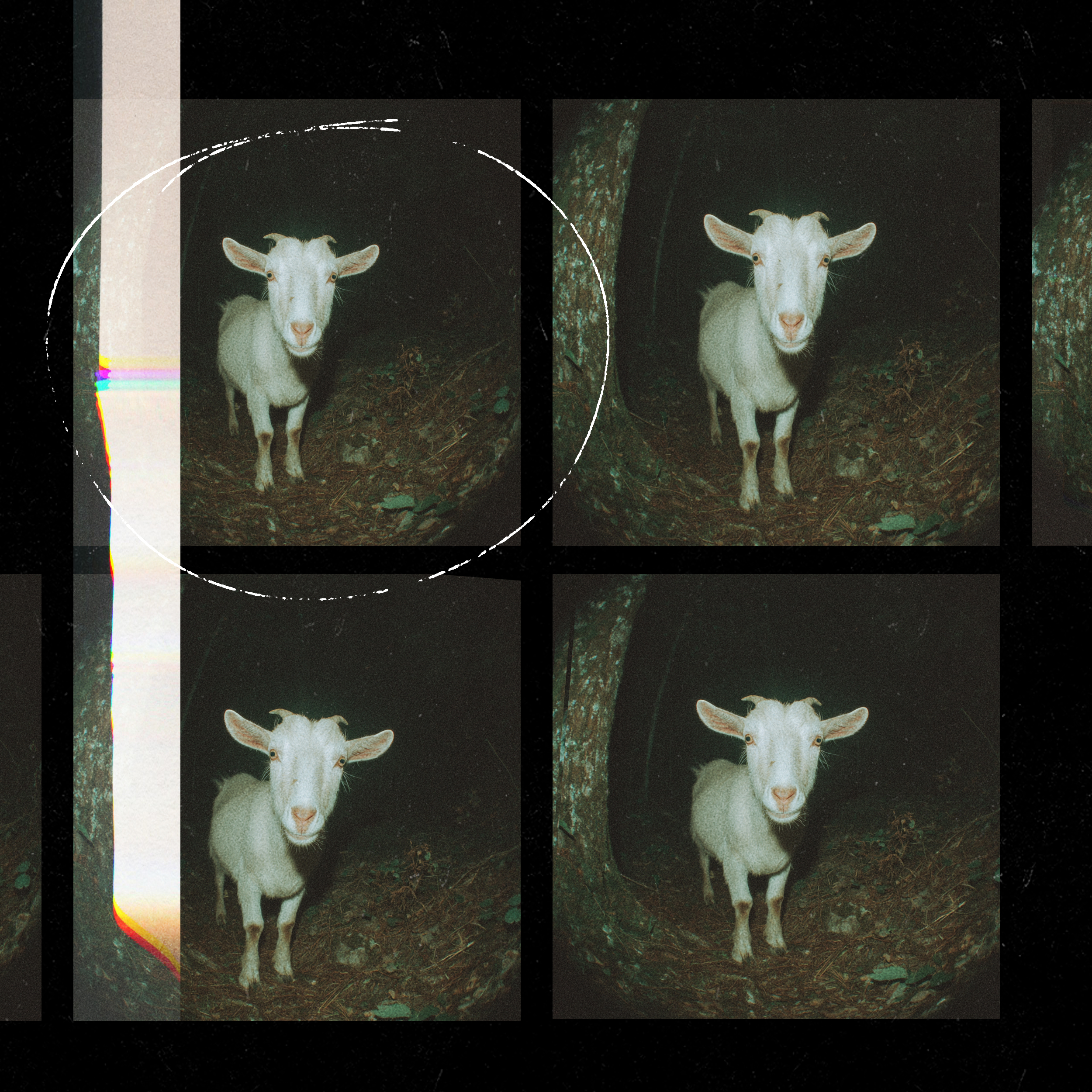Anja Schneider - Scary Goat EP